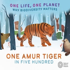 One Life One Planet One Siberian Tige