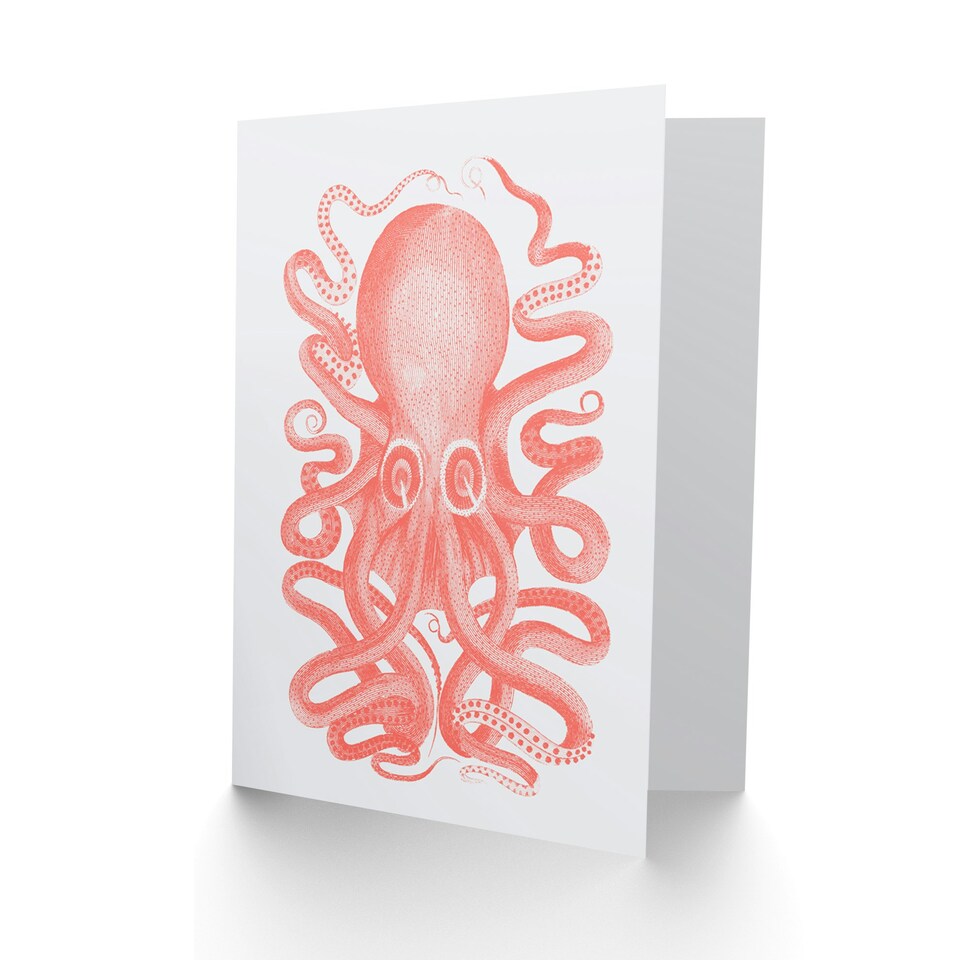 image 1 of Pink Coral Octopus Sea Animal Vintage Art Card