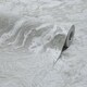 image 2 of Nakura Wallpaper in Grey and Silver with Silver Metallic | Grey | Grey and Silver with Silver Metallic | 53cm x 10m