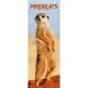image 1 of Meerkats Slim 2026 Calendar | Slimline Wall Calendar | Animal Gift | Plastic Free Packaging | by Avonside Publishing [Calendar] Avonside Publishing Ltd