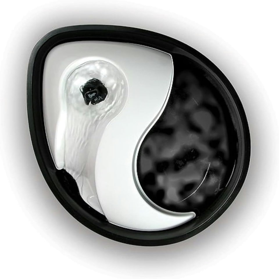 image 1 of Pet Cat & Dog Drinking Water Fountain Bowl Automated Purifier & Filtered Black