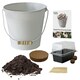 image 2 of Pronto Seed Sweet Pea Grow Your Own Kit with Decorative Bucket Planter - Little Sweetheart Mix - Ideal Gardening Gift