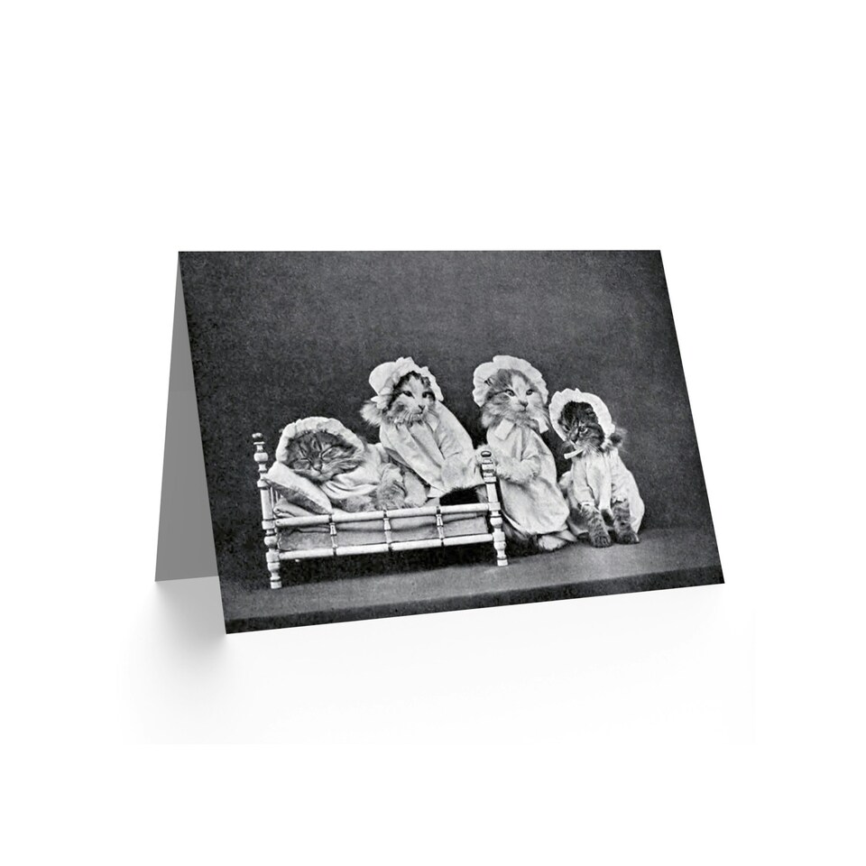 image 1 of Little Folk Animal Land Cats Dogs Art Card