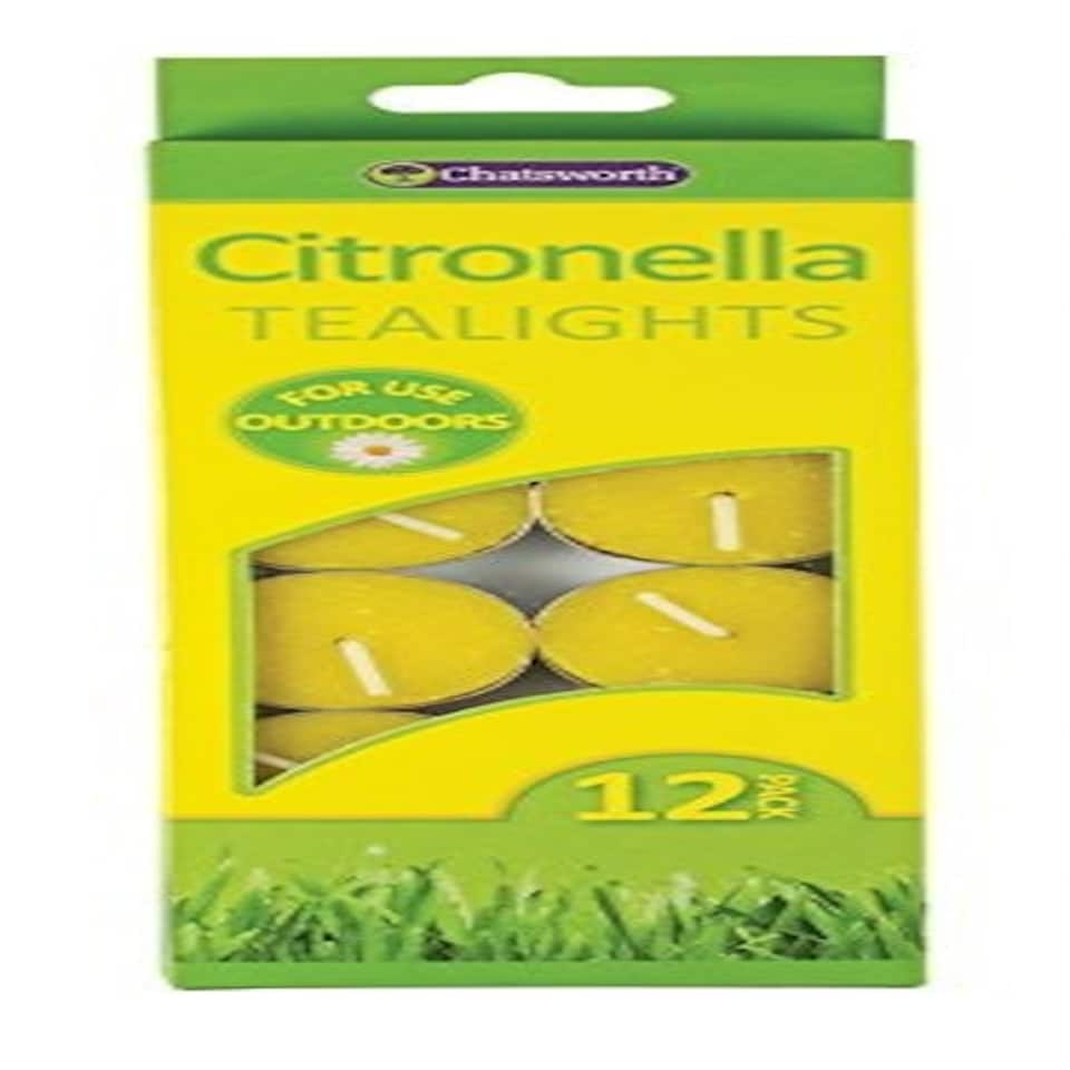 image 1 of Pack of 12 Citronella Tealights Candles