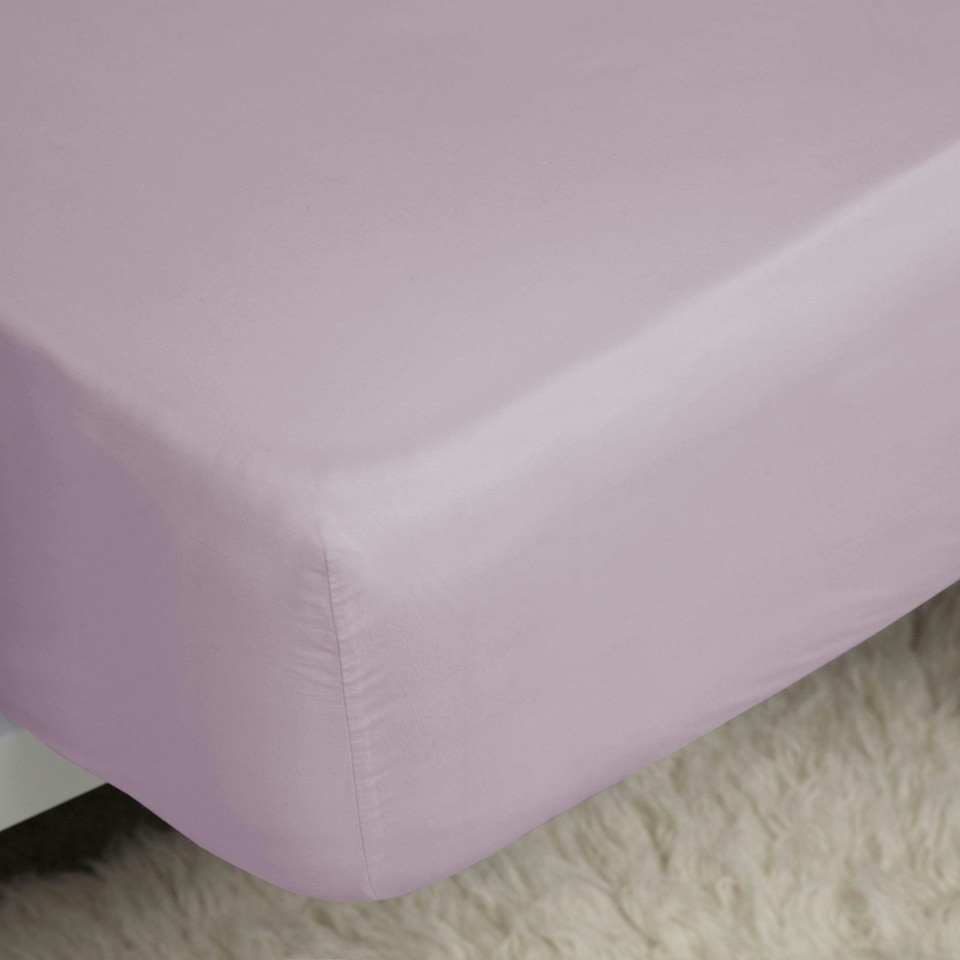 image 1 of Belledorm 400 Thread Count Egyptian Cotton Fitted Sheet - Mulberry - Single