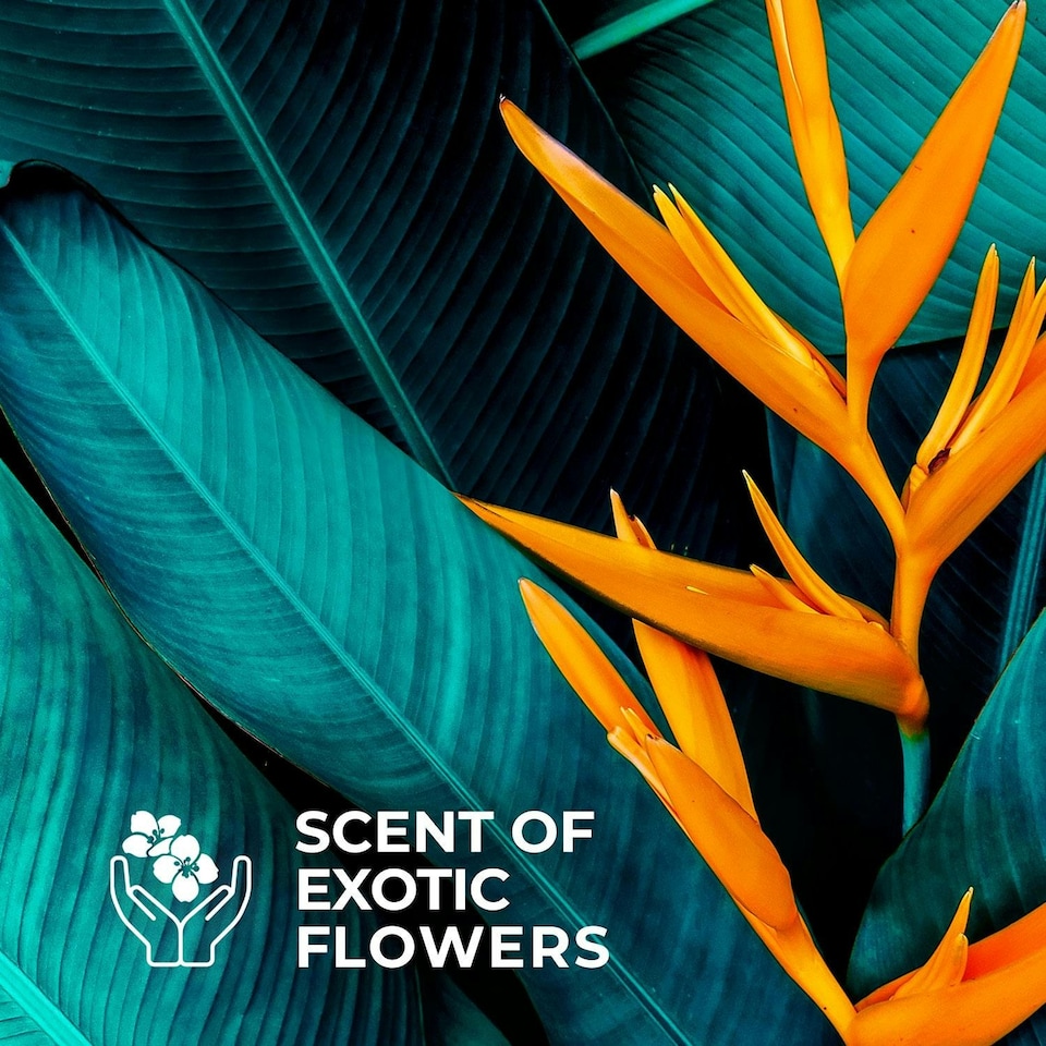 image 1 of Lux Botanicals Shower Gel With Ylang Ylang & Neroli Oil 6x500Ml