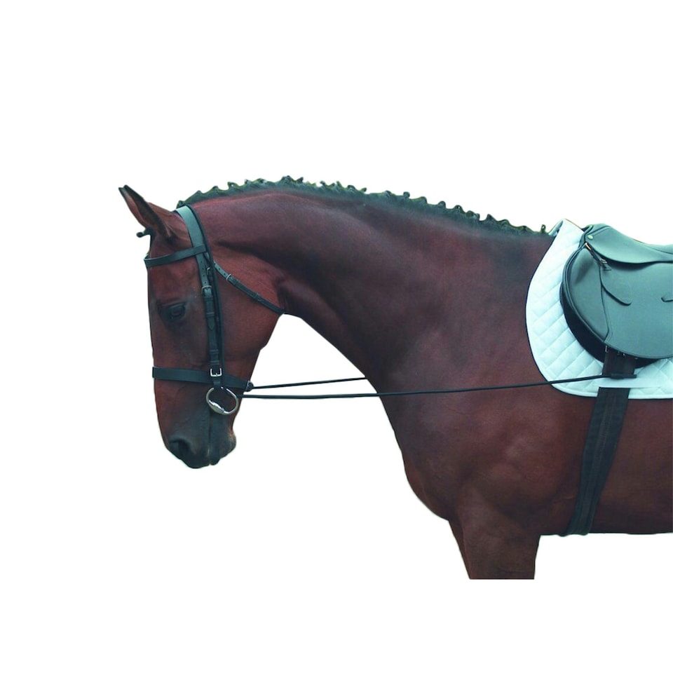 image 1 of Shires Elastic Training Horse Reins - Black - 6mm