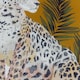 image 5 of Paoletti Leopardis Cat Outdoor Cushion