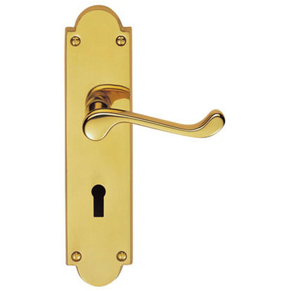 Loops PAIR Victorian Scroll Handle on Lock Backplate 205 x 49mm Polished Brass in Metallics