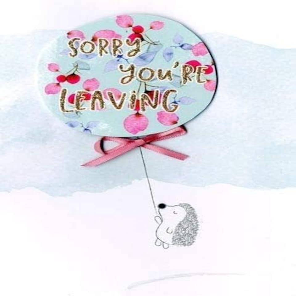 image 1 of Hedgehog with Balloon Design Sorry You Are Leaving Greeting Card
