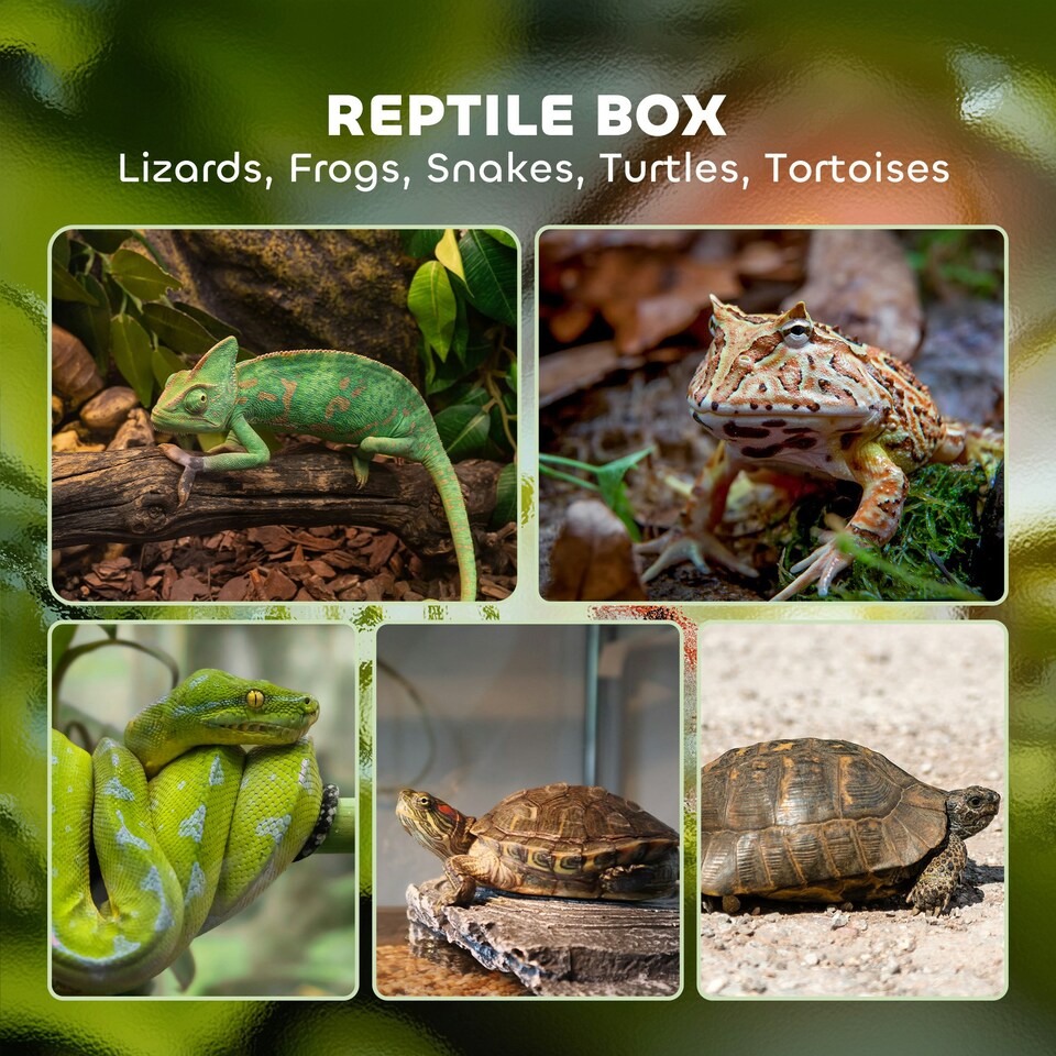 image 1 of PawHut Glass Reptile Terrarium, 12L Vivarium for Lizards, Frogs, Snakes, Turtles