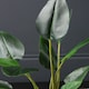image 3 of 78Cm Real Touch Bird Of Paradise in Black Plastic Pot Green | One Size
