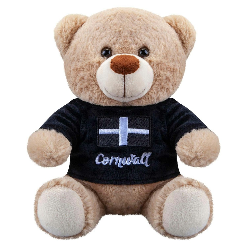 image 1 of Cornwall Bear Soft Toy Cute Plushie Huggable Cuddly Stuffed Toy Gift 20cm Black