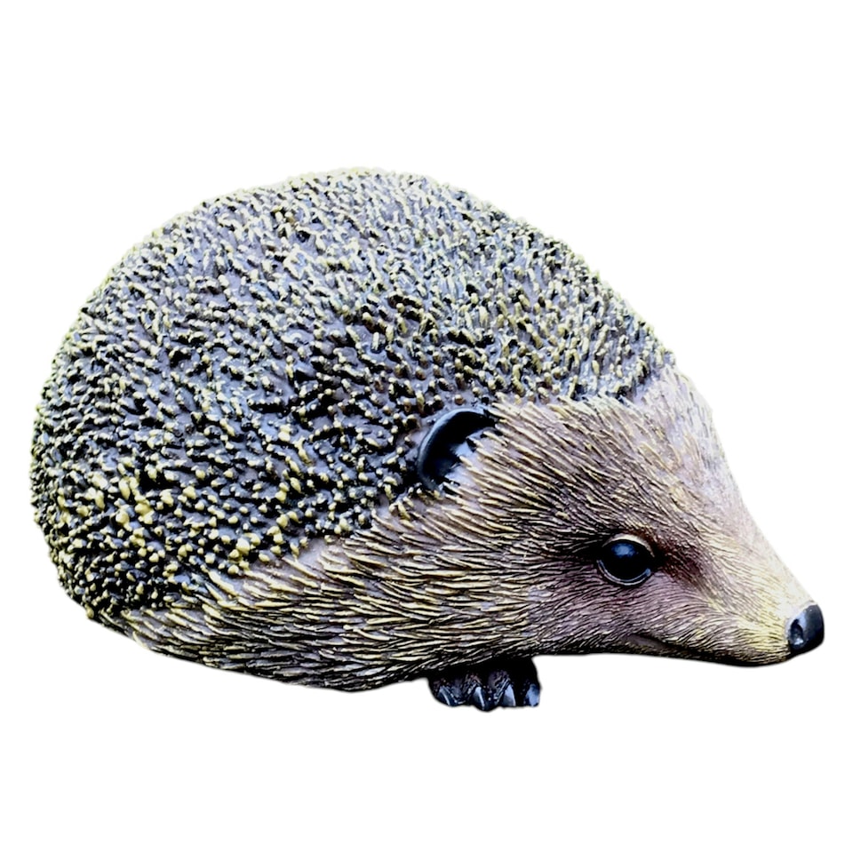 image 1 of Set Of Two Hedgehogs Home Or Garden Decorations