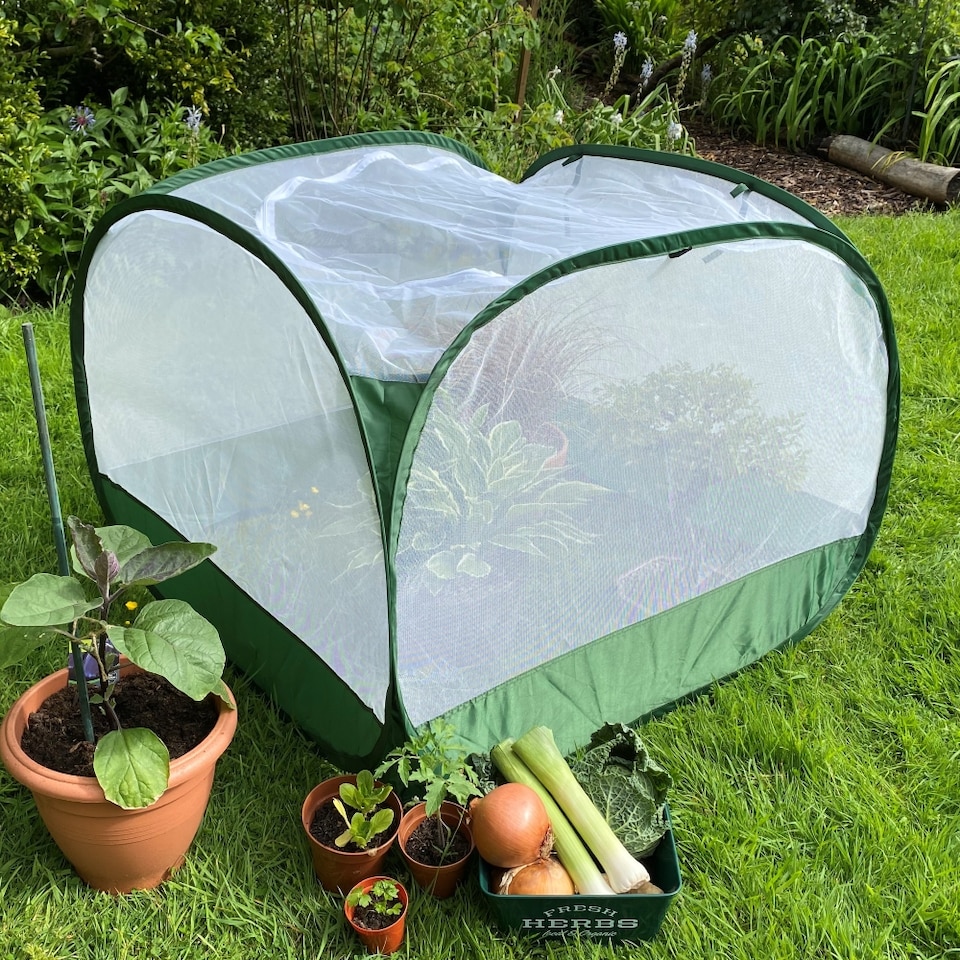 image 1 of GardenSkill Pop Up Insect Net Fruit Cage & Vegetable Protection Cover -  1 x 0.75m H