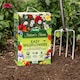 image 2 of Natures Haven Easy Wildflower Seed Mix, Pollinator-Friendly with Added Fertiliser 1.2kg box