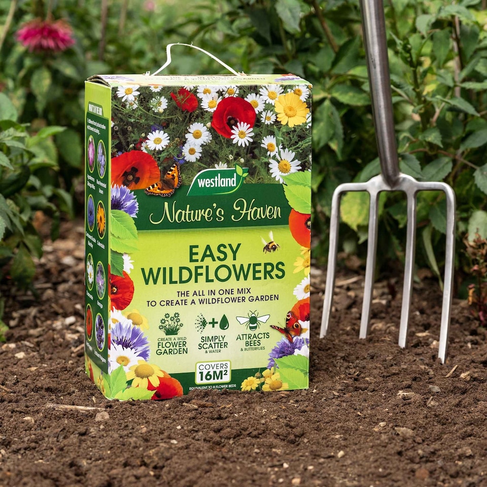 image 1 of Natures Haven Easy Wildflower Seed Mix, Pollinator-Friendly with Added Fertiliser 1.2kg box