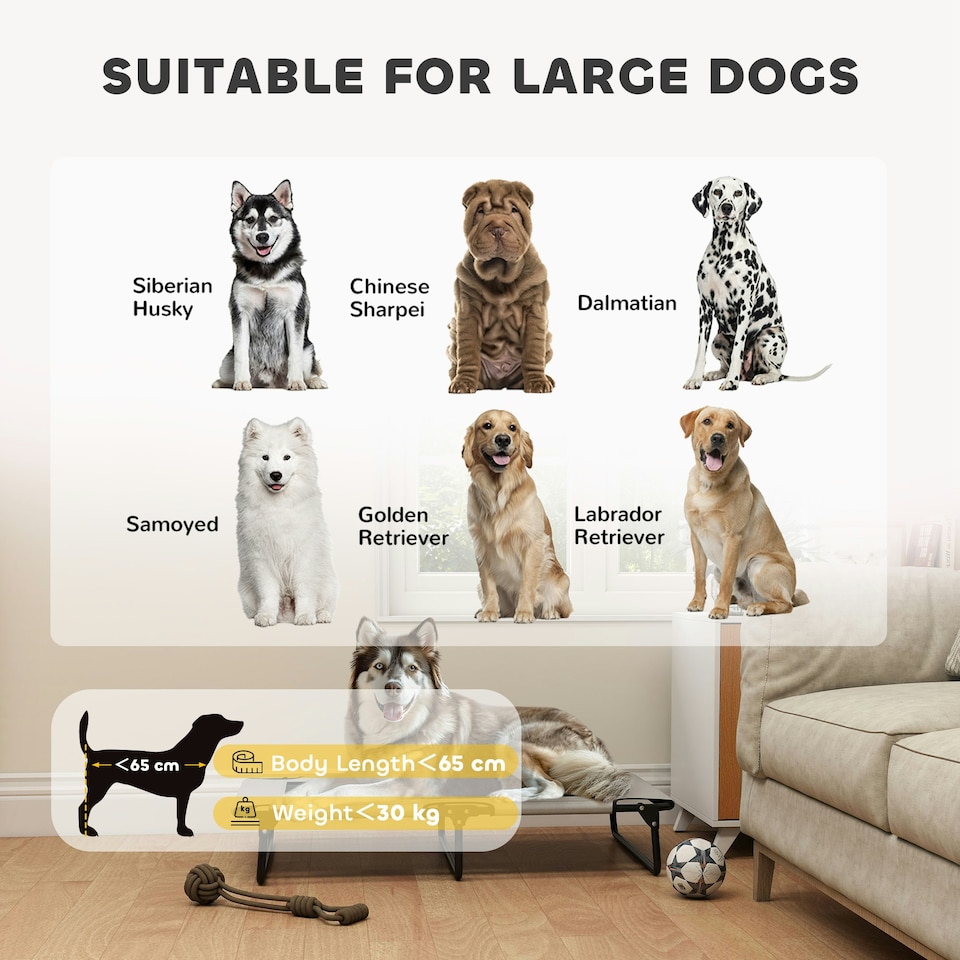 image 1 of PawHut Raised Dog Bed with Breathable Mesh for Large Dogs | Grey | L