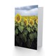 image 2 of Carol M Highsmith Art Card A Kansas Sunflower Field Up Close