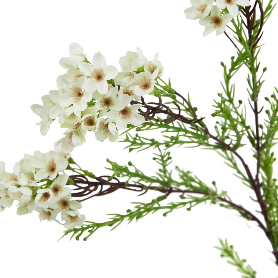 image 1 of Hill Interiors The Natural Garden Collection Waxflower Artificial Flower - White/Green - One Size