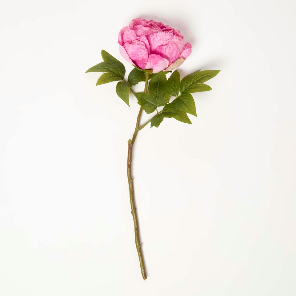 image 1 of Homescapes Artificial Stem of Dried Pink Peony Flowers, 48 cm