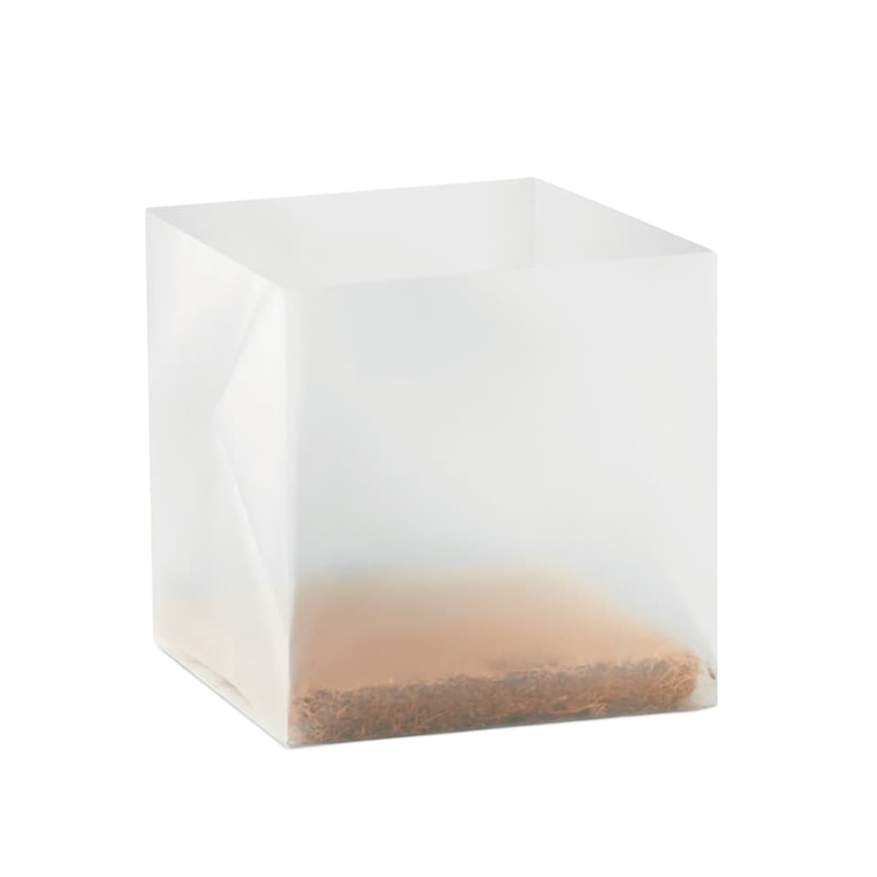 image 1 of MidOcean Basil Basil Seeds | Brown | Beige | One Size | 1