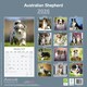 image 2 of Australian Shepherd 2026 Calendar | Square Wall Calendar | Dog Breed Gift | Plastic Free Packaging | by Avonside Publishing