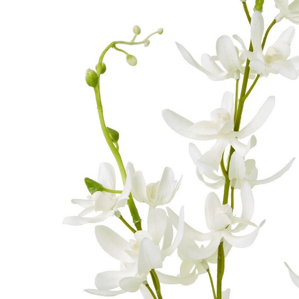 image 1 of Cymbidium Spray (Single Stem Flower) - Plastic - L10 x W24 x H95 cm - White