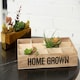image 4 of Maison by Premier Naresso 12 Compartments Herbs & Seed Crate