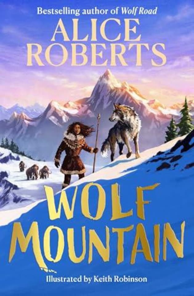 Wolf Mountain Paperback Book