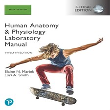 Human Anatomy & Physiology Laboratory Manual Main Version Global Edition