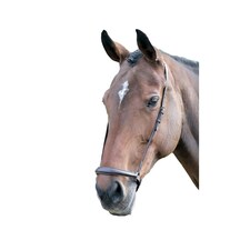 Blenheim Leather Horse Drop Noseband - Havana - Pony