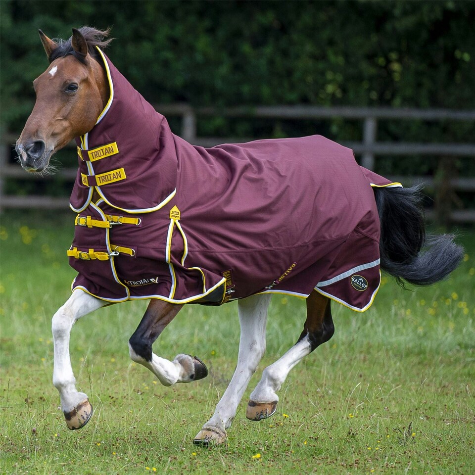 image 1 of Gallop Equestrian Trojan Xtra 200 Turnout Combo Blue | Size: 6ft 9
Colour: Navy Blue