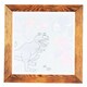 image 3 of Magic Painting World - Dinosaurs
