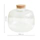 image 8 of Bowl Shape Terrarium DIY Kit Clear