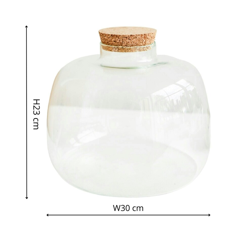 image 1 of Bowl Shape Terrarium DIY Kit Clear