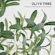 image 4 of HOMCOM 6ft Olive Tree Light with 300 Warm White LED Lights, Artificial Tree for Indoor, Party, Wedding, Christmas, Home Decoration, Green