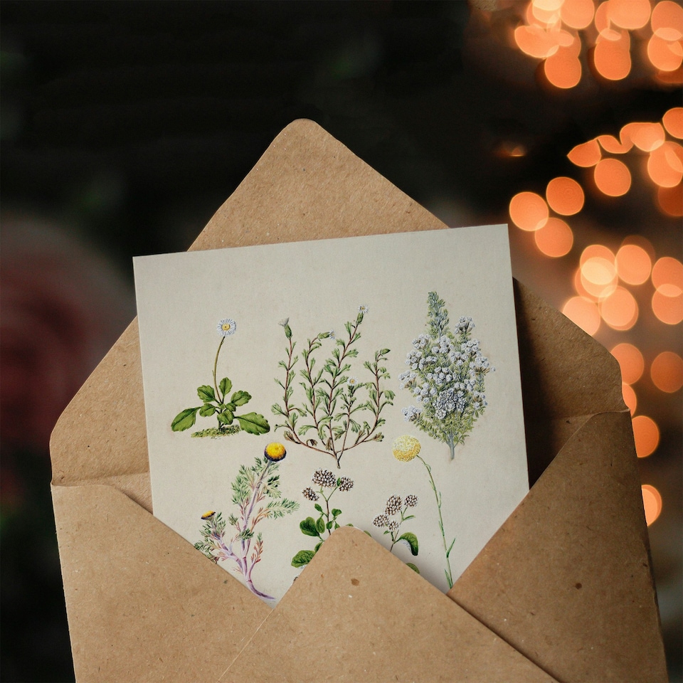 image 1 of Sarah Featon Art Card Native New Zealand Wildflowers Illustration