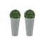 Light Grey & Set of 2