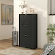 image 9 of HOMCOM Narrow Shoe Cabinet with 3 Flip Drawers for 18 Pairs of Shoes Black Black