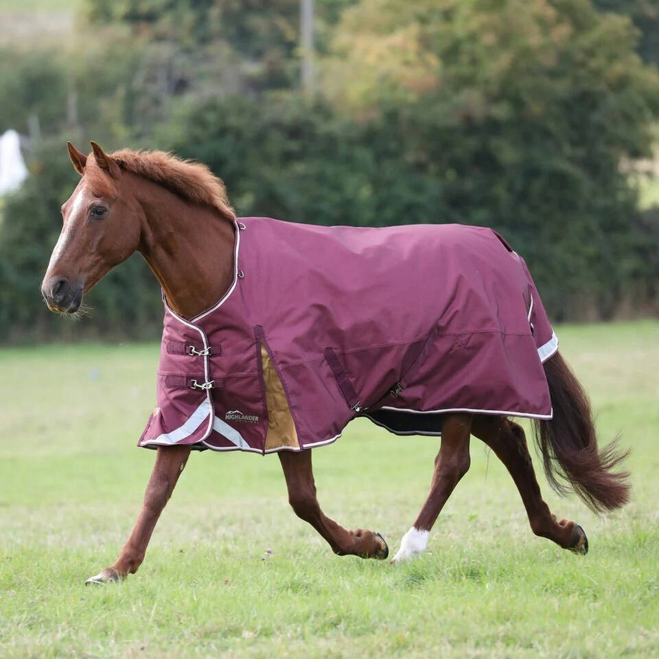 image 1 of Highlander Plus Standard-Neck 100g Horse Turnout Rug - Maroon - 5´ 3"