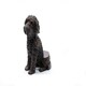 image 3 of Cockapoo Plant Pot Feet - Set of 3 - L5.5 x W8 x H10 cm Grey