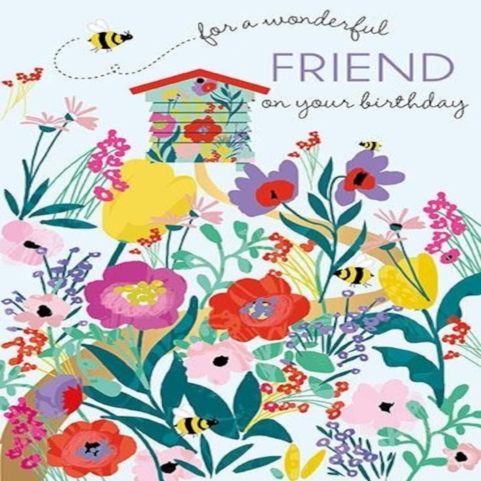 Words 'n' Wishes Traditional Friend Birthday Card for a Female, Female Friend Birthday Card, Multi-Coloured 20.3 x 13.4 cms
