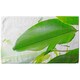 image 2 of Green Leaf (Bathroom Set)