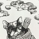 image 3 of Muriva Pooches Mono Wallpaper - Black/White - 10m x 52cm | Black