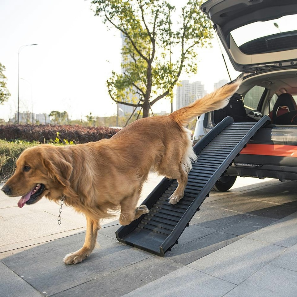 image 1 of KCT Portable Folding Pet Ramp
