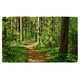 image 1 of Woodland path Designer Bath Towel | Multi