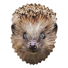 Hedgehog Cardboard Face Mask