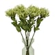 image 3 of Protea Lorea (Single Stem Flower) - Plastic - Height 73 cm - Green