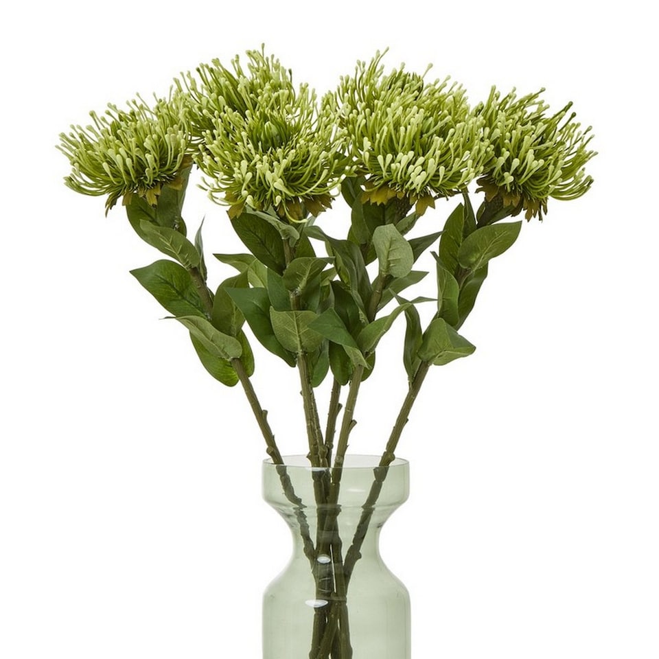 image 1 of Protea Lorea (Single Stem Flower) - Plastic - Height 73 cm - Green